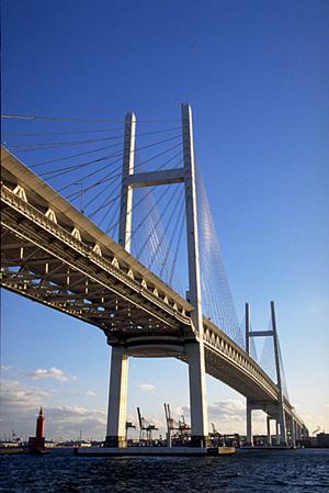 ボディーカバーは通販で簡単に手に入る