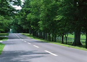 車検即日の内容について詳説する