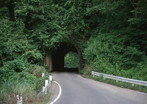 格安車検が強い専門店のコバック