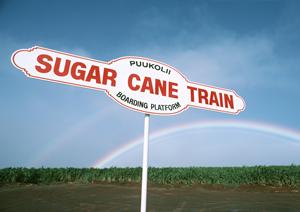 フォークリフトレンタル完全ガイド：業務効率を最大化する機種選びと料金の透明化