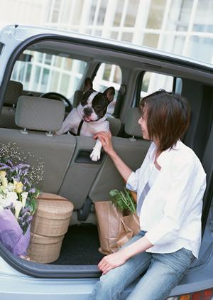 車のことを考えて作られたボディーカバー