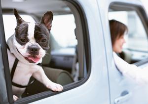 新潟市で車検の時期が迫っているみなさん