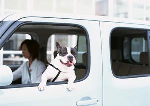 車検のことなら何でも任せることができる
