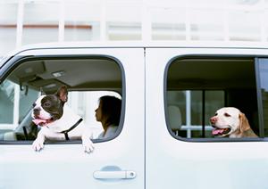 即日車検で不合格になった場合には