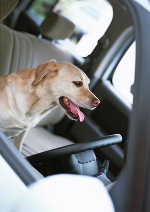 クオリティの高い板金塗装ならTripleK