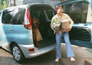 稲沢市で選ばれる板金塗装サービスの魅力と信頼の理由を徹底解説！